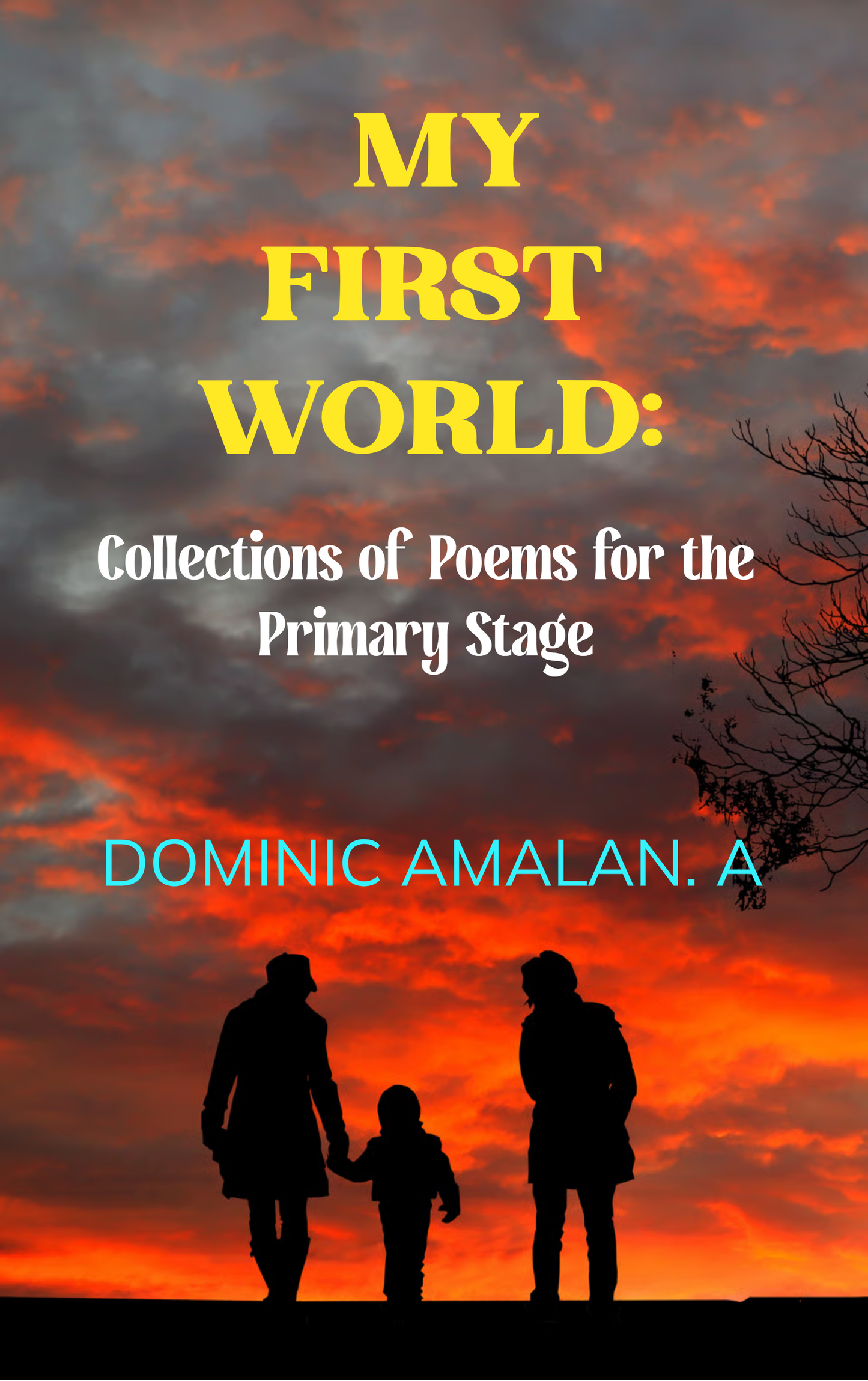 MY FIRST WORLD: