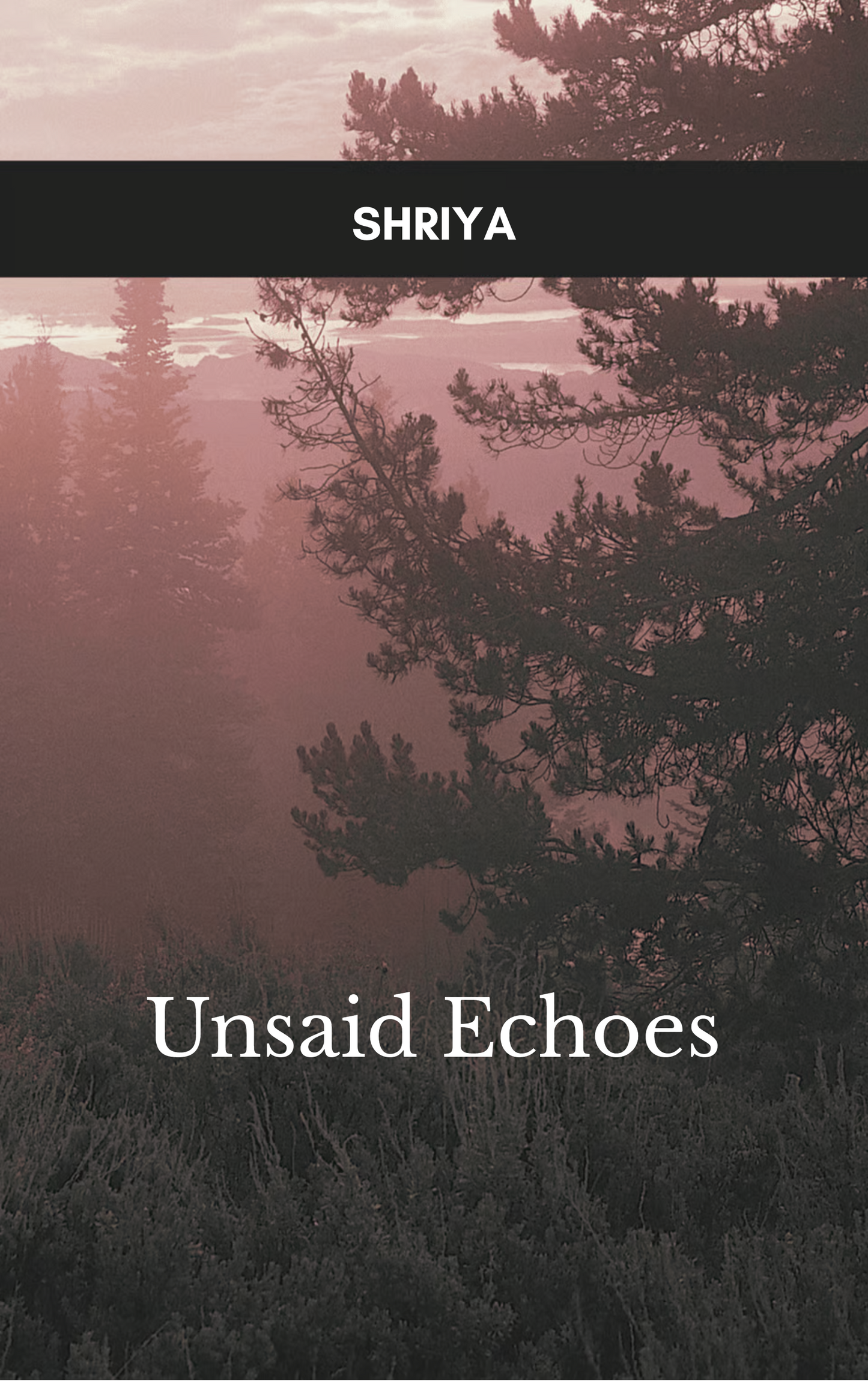 Unsaid Echoes