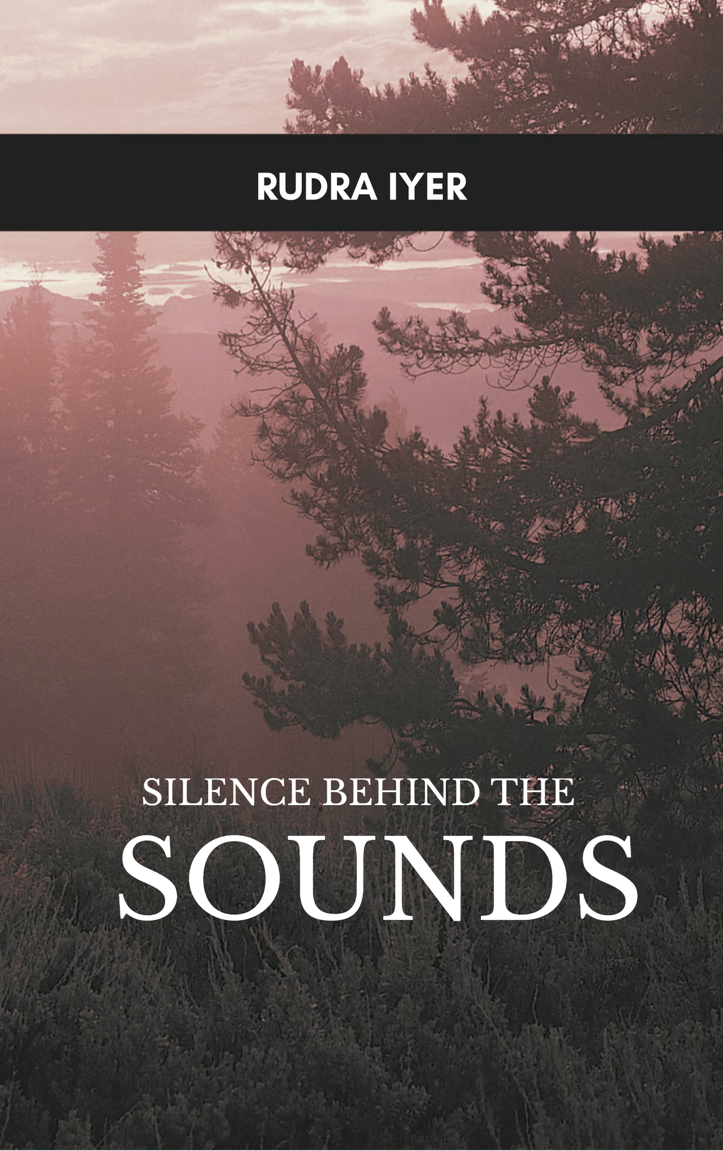 Silence behind the Sounds
