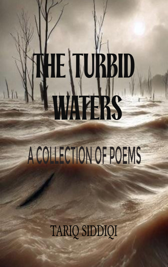The Turbid Waters