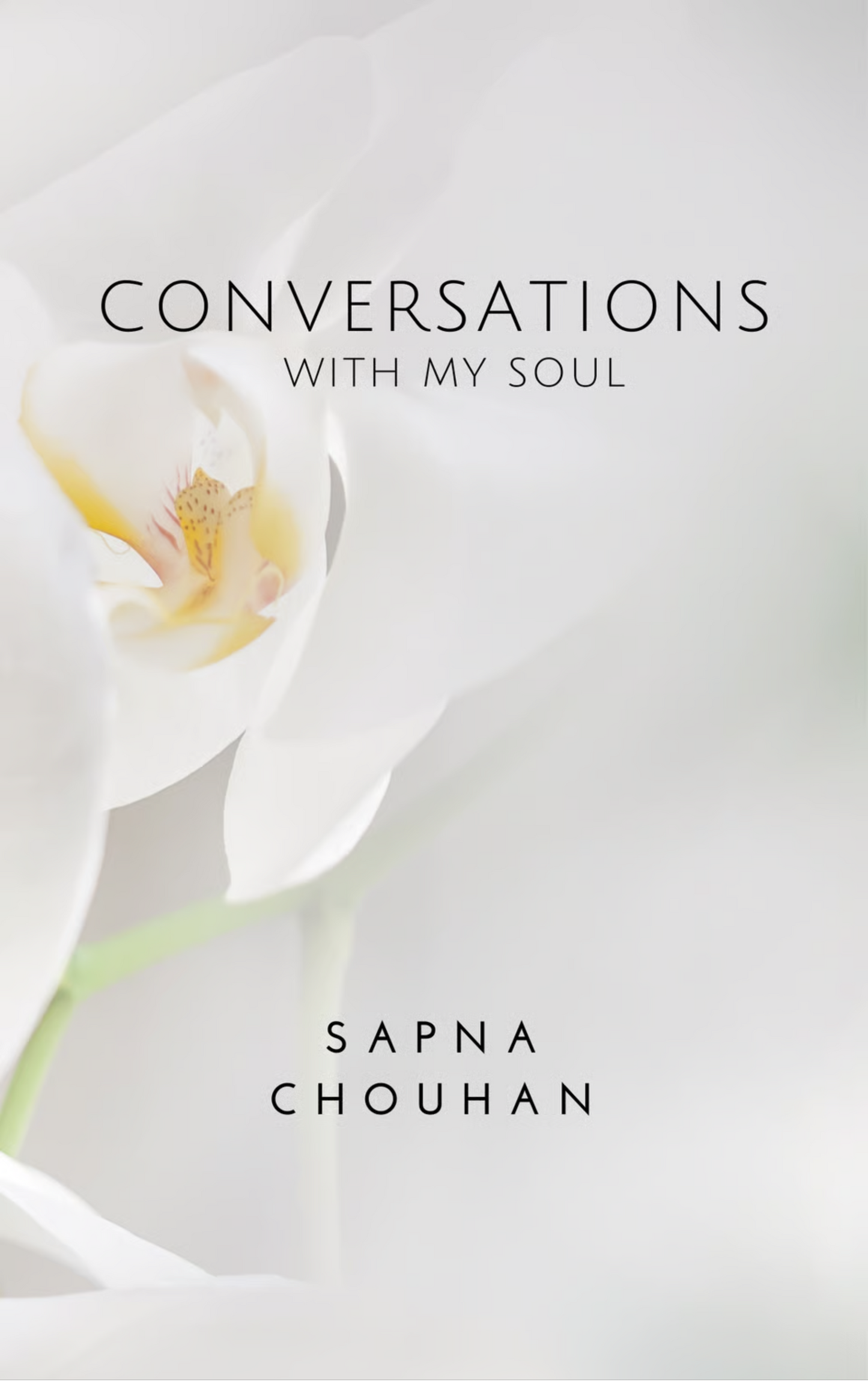 Conversations with my soul