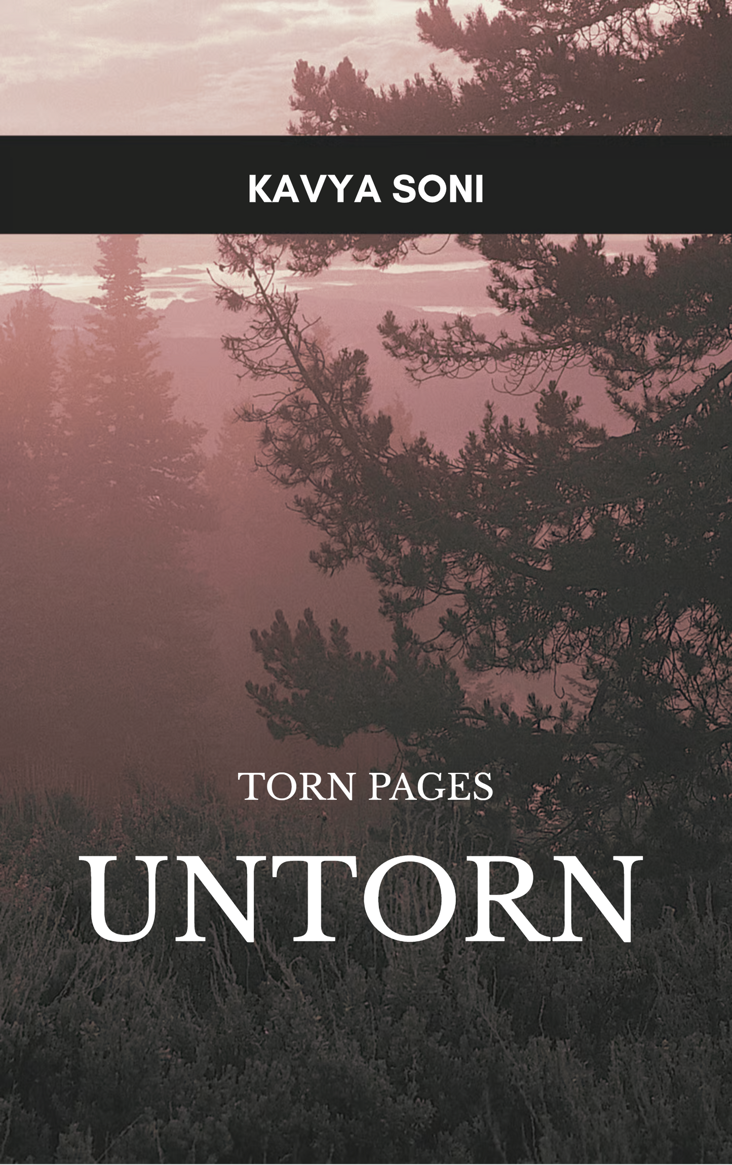 Torn Pages