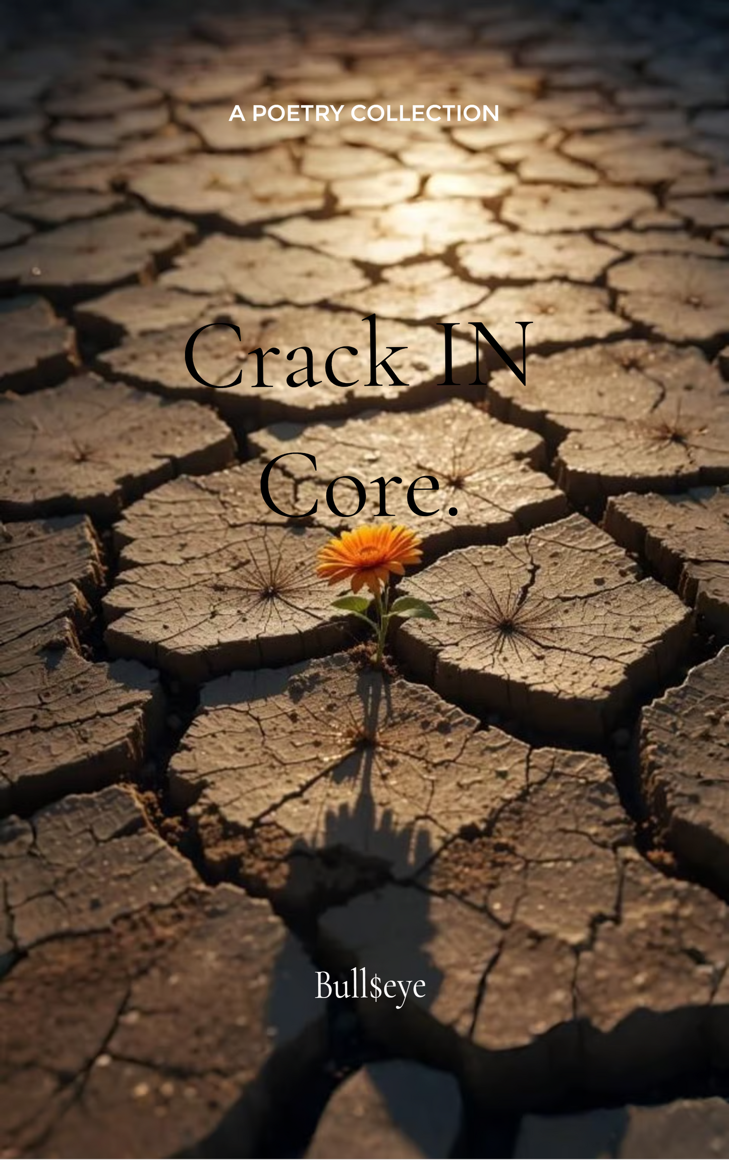 Crack IN Core