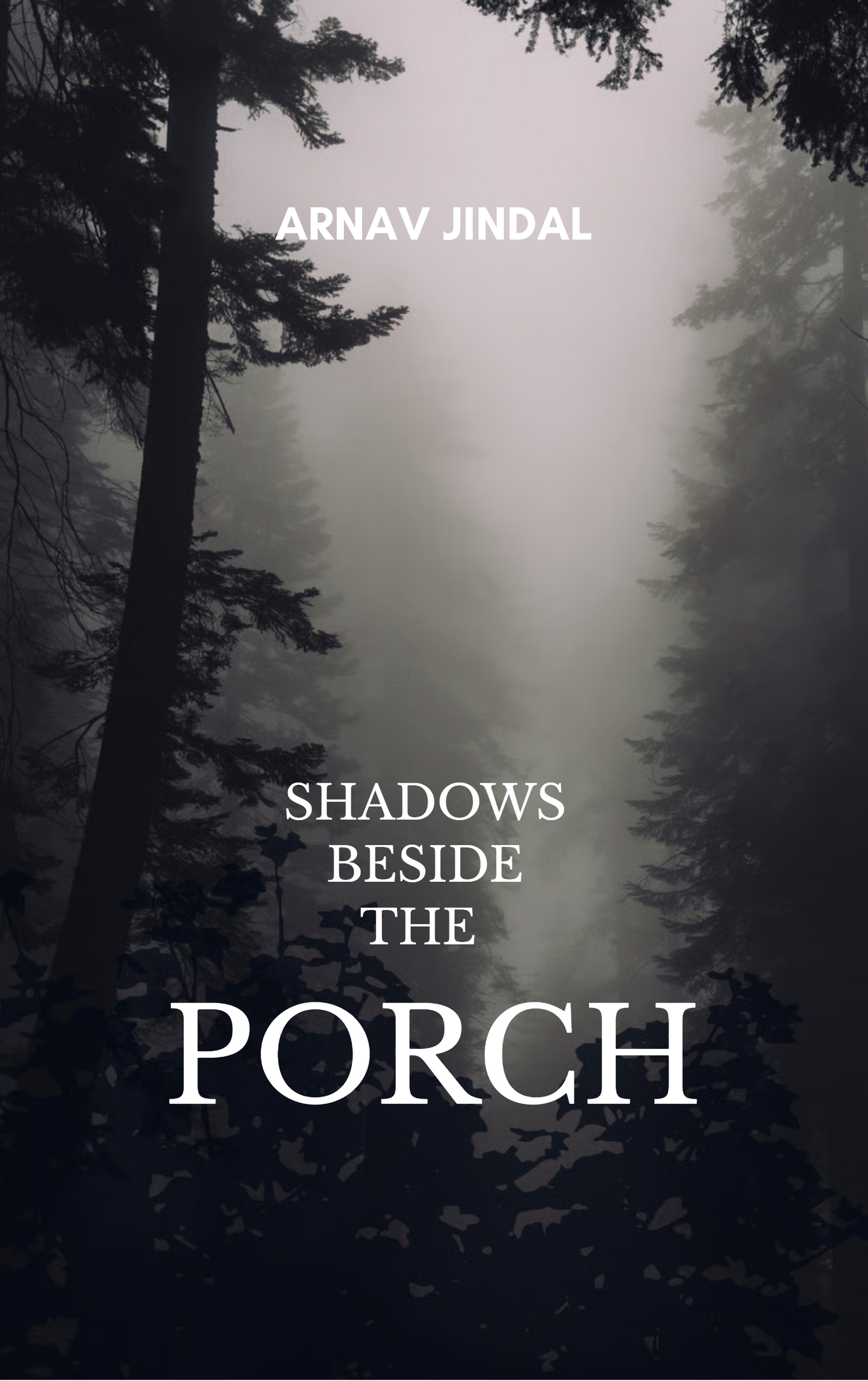 Shadows Beside The Porch