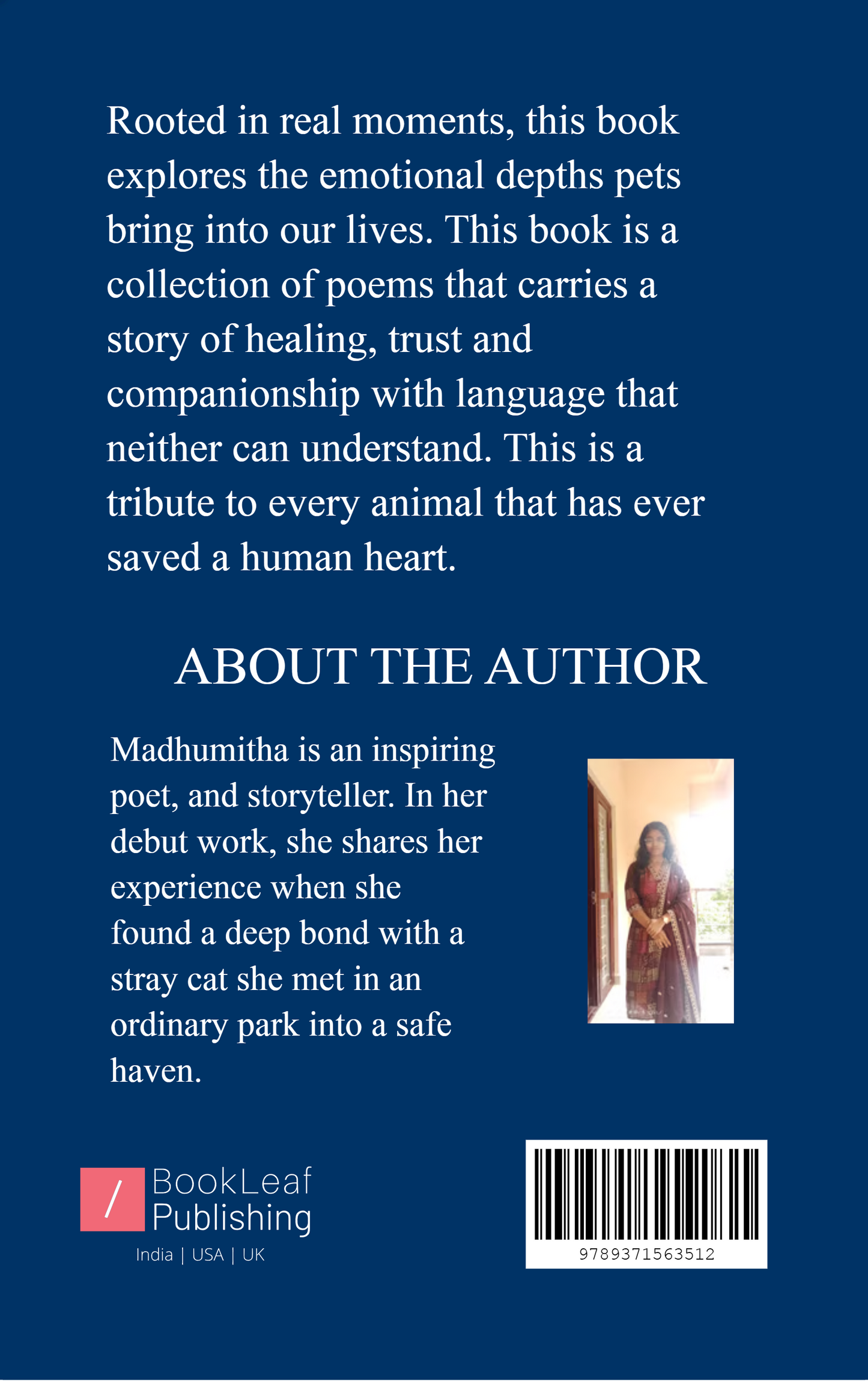 Love is a Cat Under a Starry Night