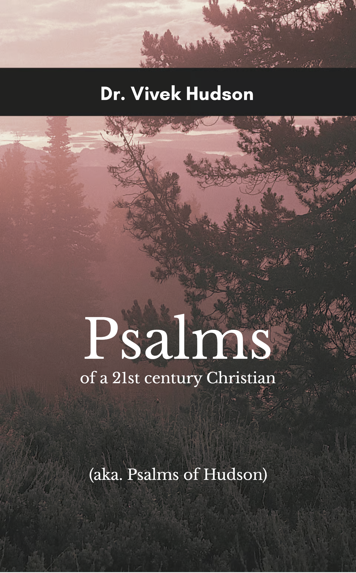 Psalms of a 21st century Christian