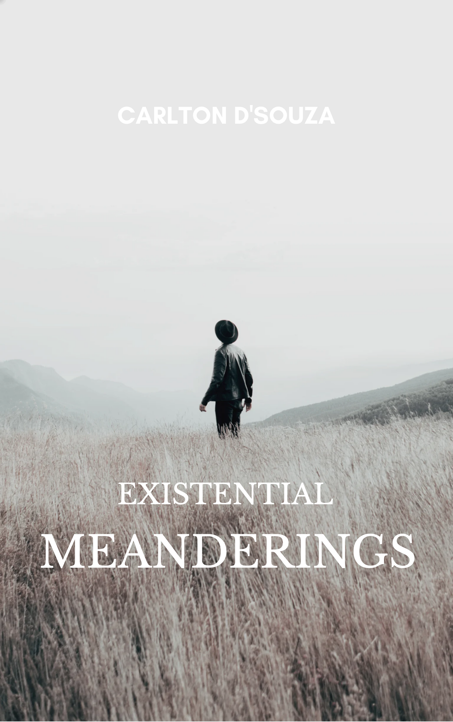Existential Meanderings