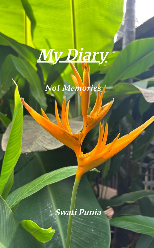 My Diary