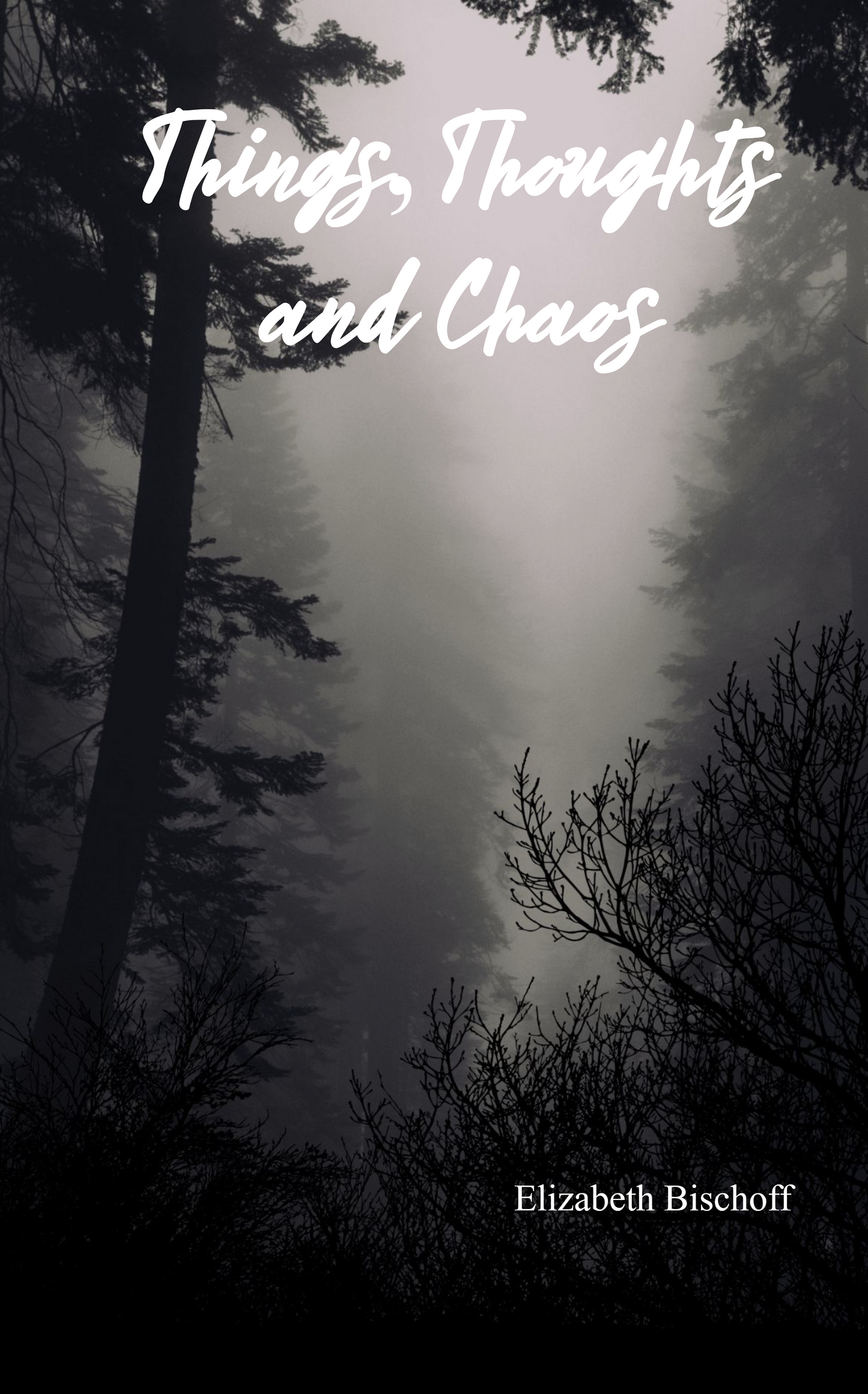 Things,Thoughts And Chaos