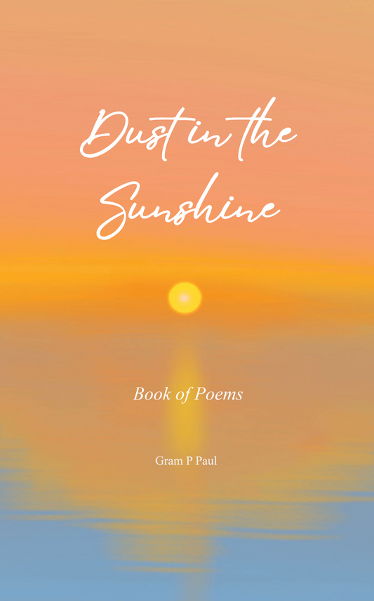 Dust in The Sunshine