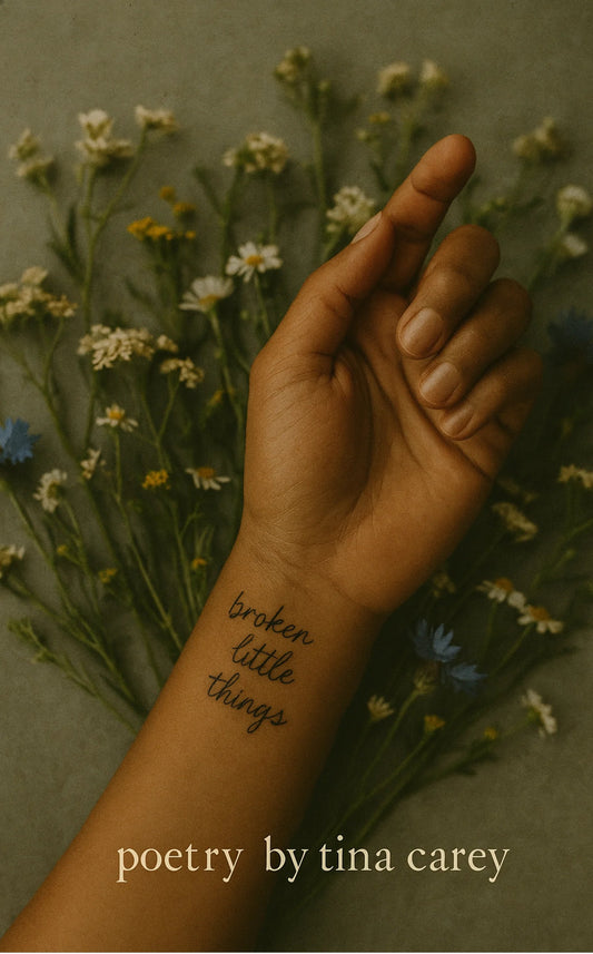 broken little things