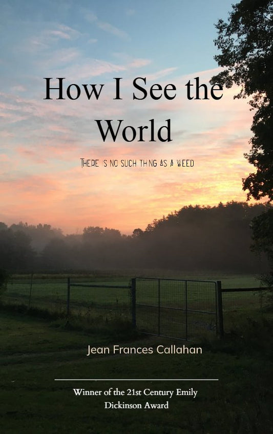 How I see the World