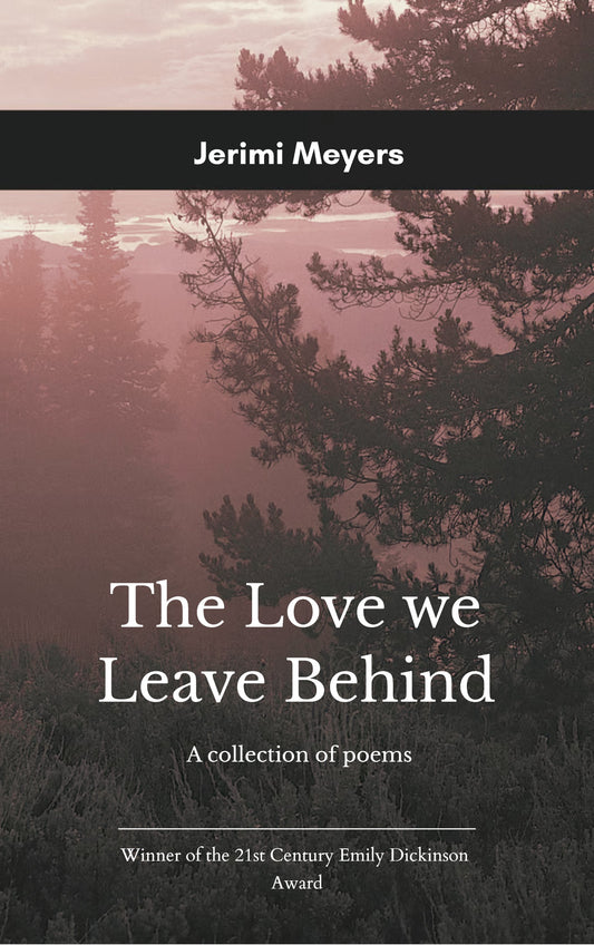 The Love We Leave Behind