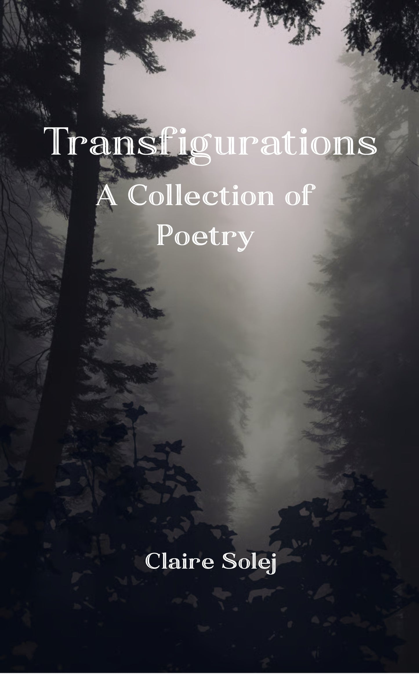 Transfigurations