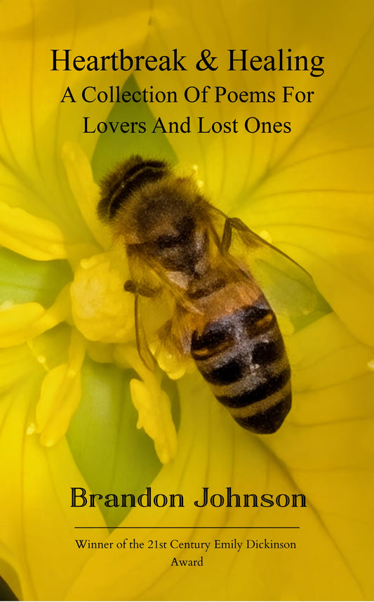 Heartbreak & Healing: A collection of poems for lovers and lost ones