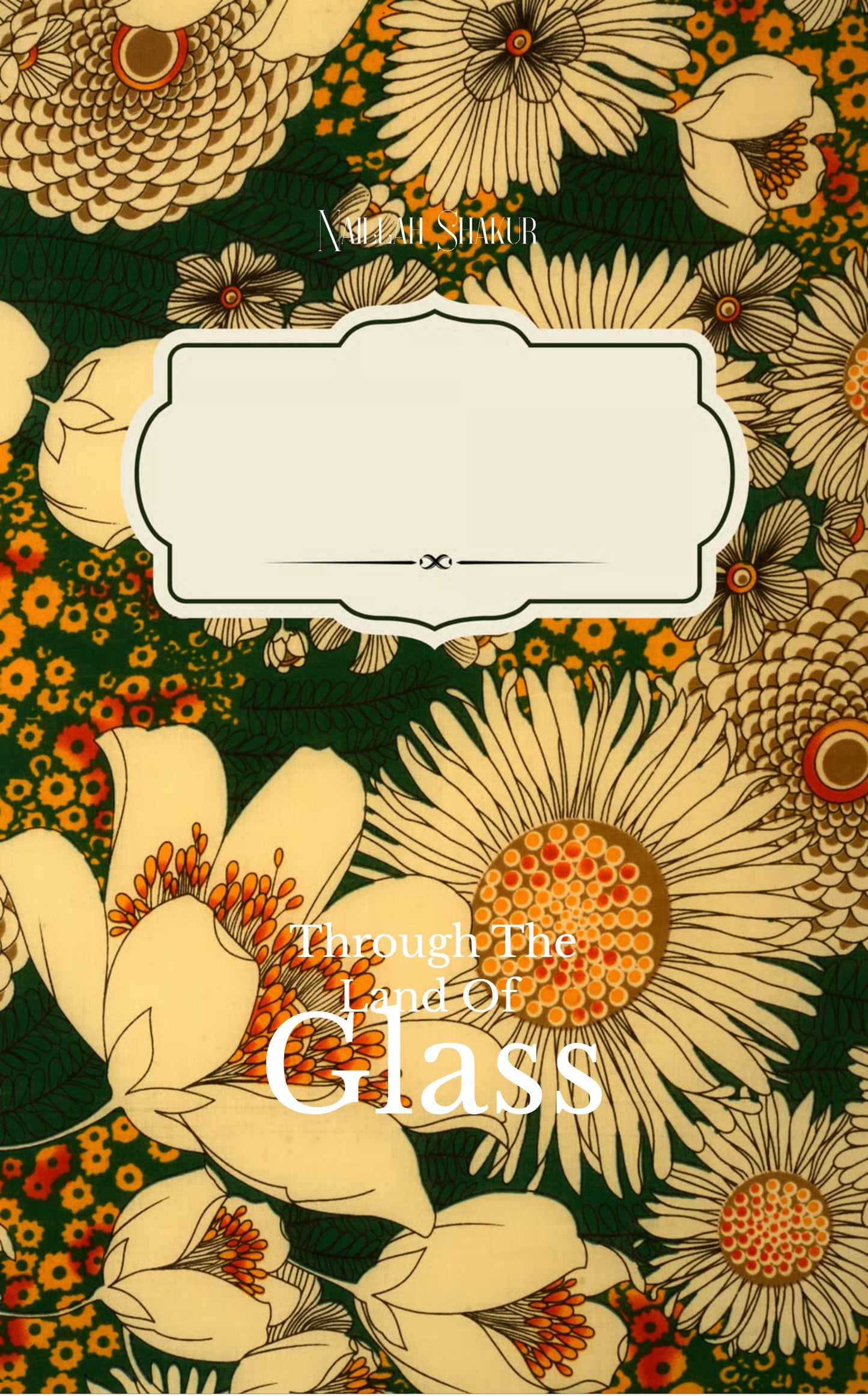 Through the Land of Glass