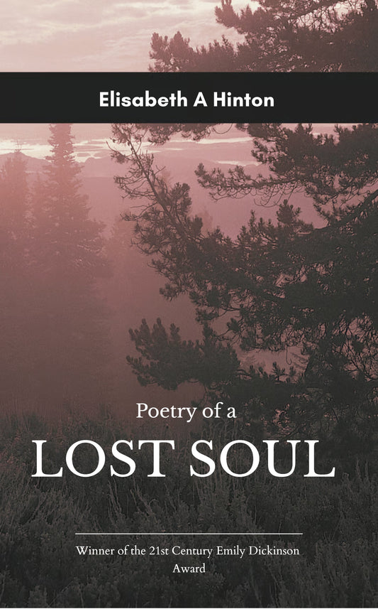 Poetry of a Lost Soul
