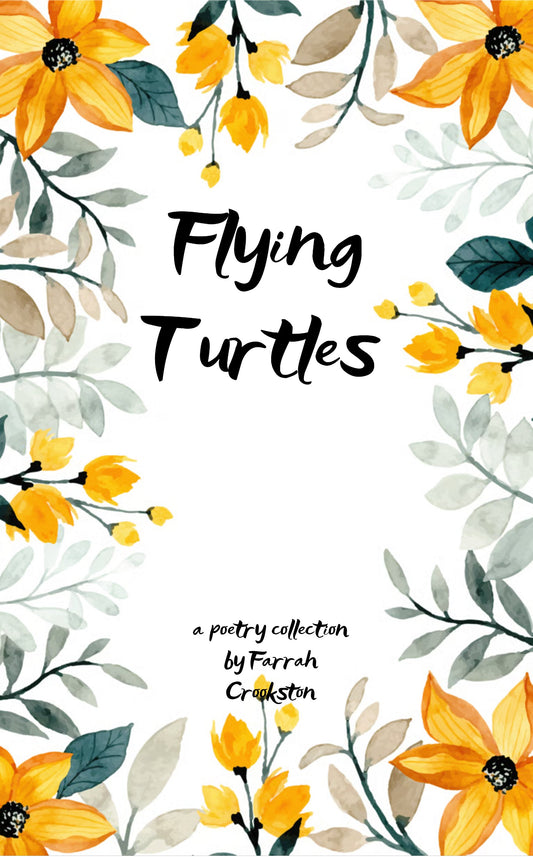 Flying Turtles