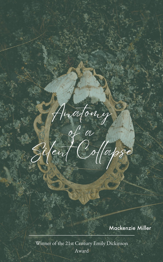 Anatomy of a Silent Collapse