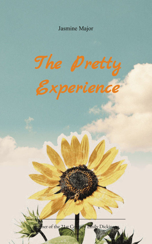 The Pretty Experience