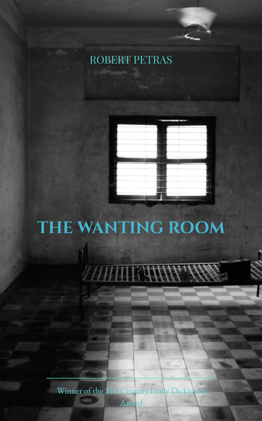 THE WANTING ROOM
