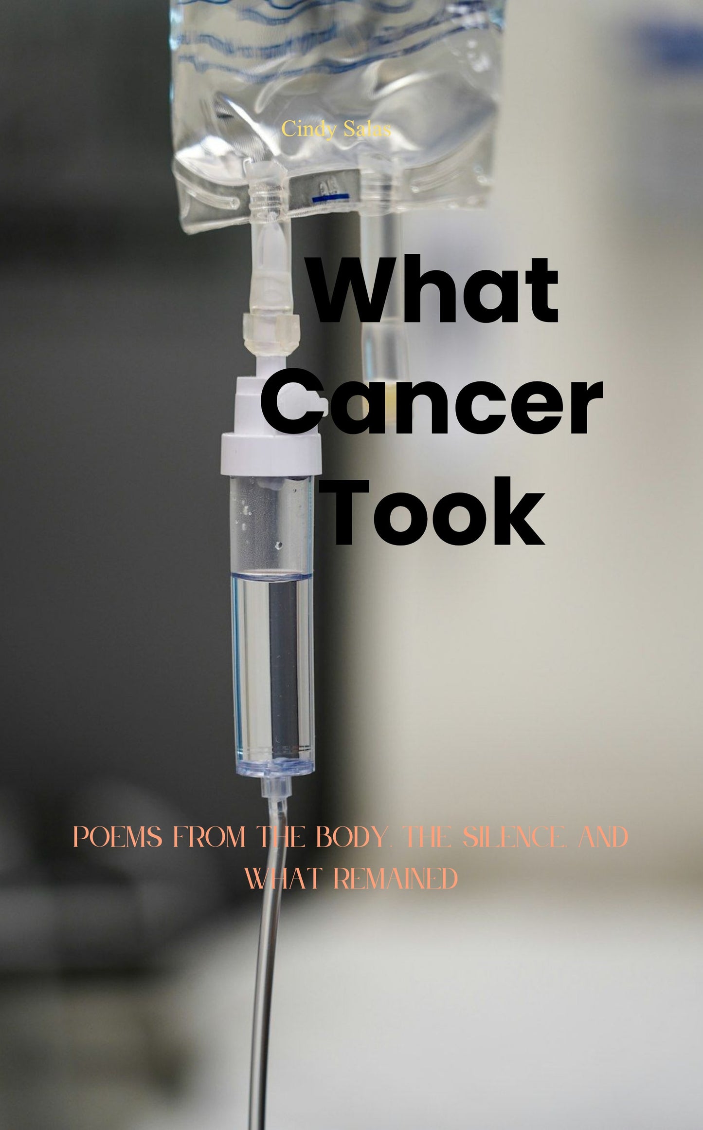 What Cancer Took