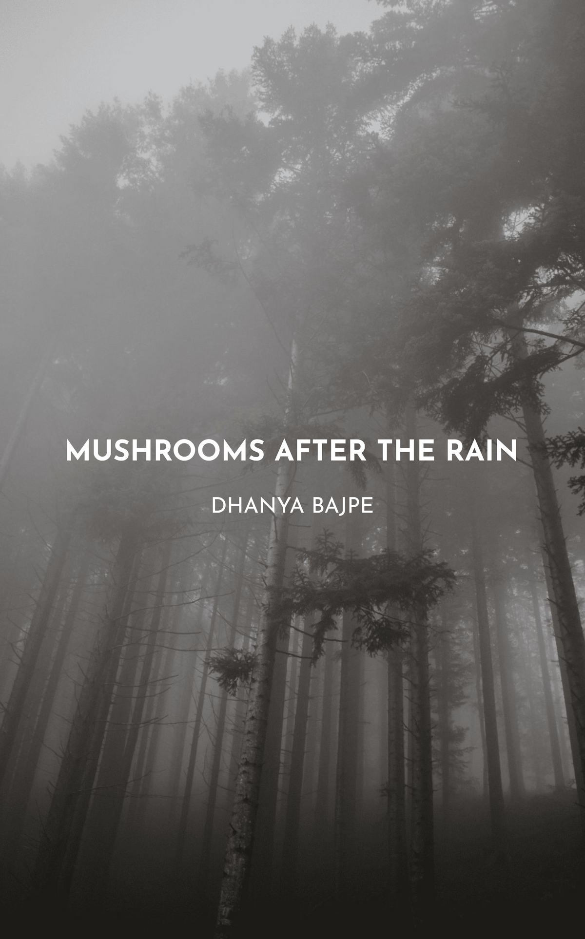 Mushrooms After the Rain
