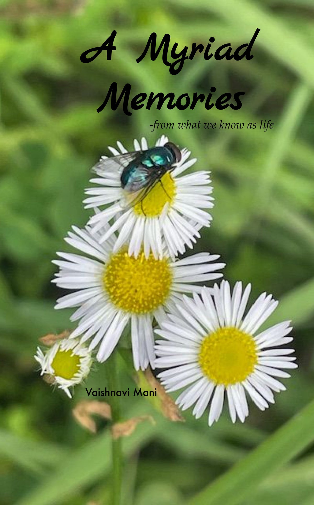 A Myriad Memories