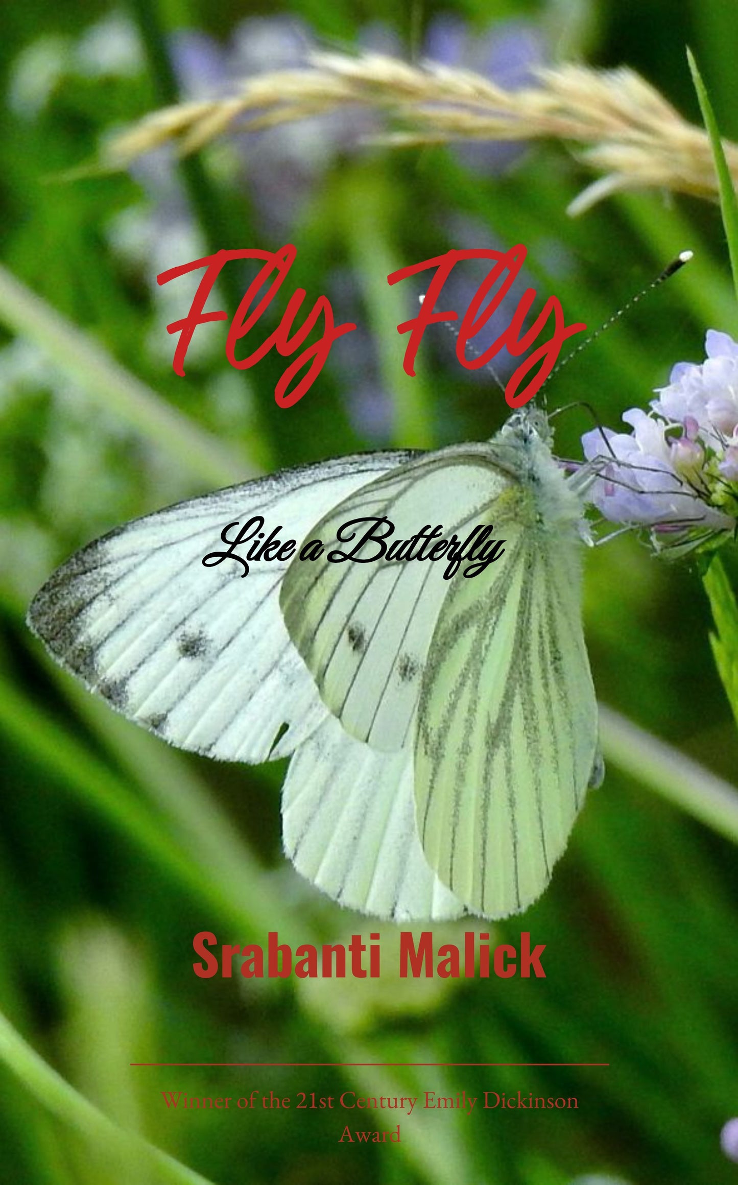 Fly Fly