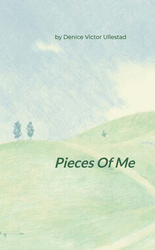 pieces of me