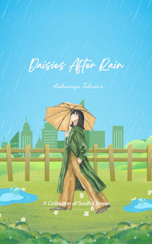 Daisies After Rain