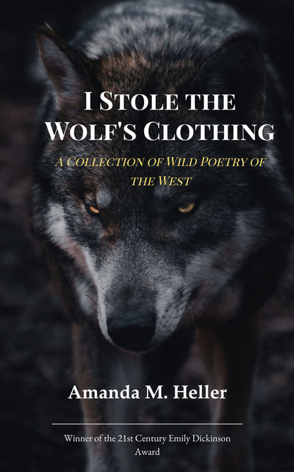 I Stole the Wolf's Clothing