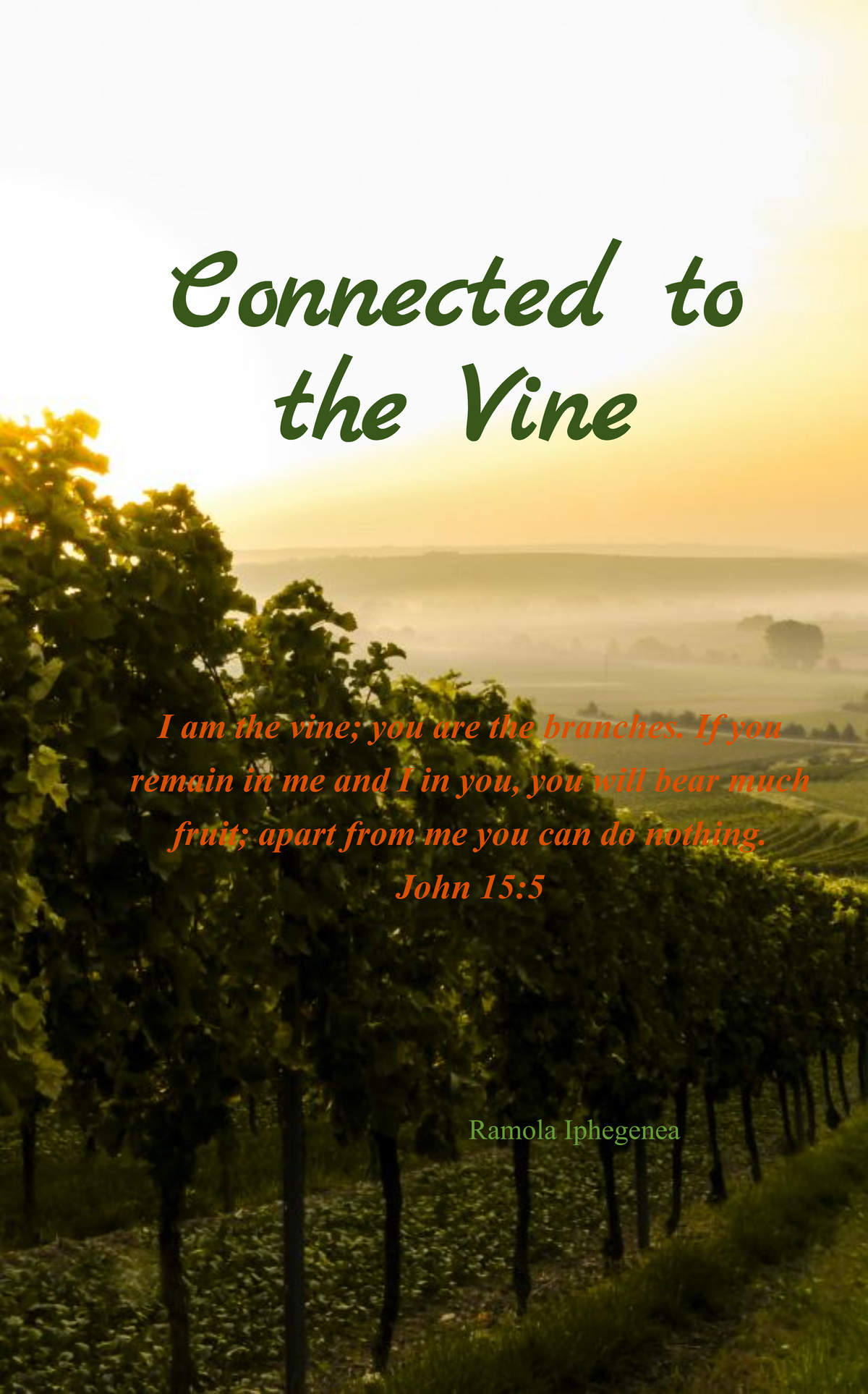 Connected to the Vine