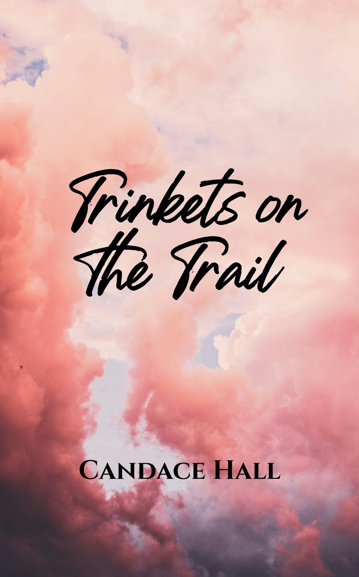 Trinkets on the Trail