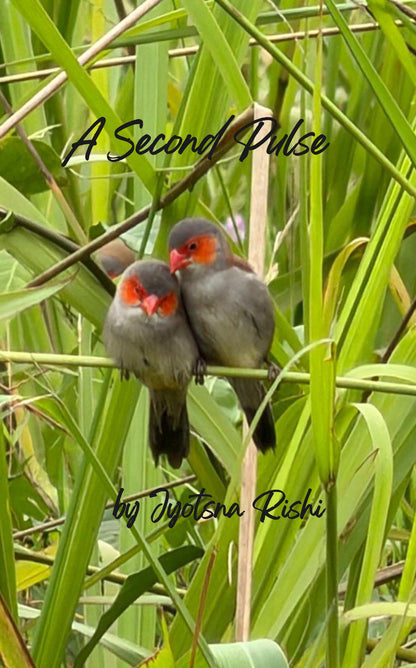 A Second Pulse