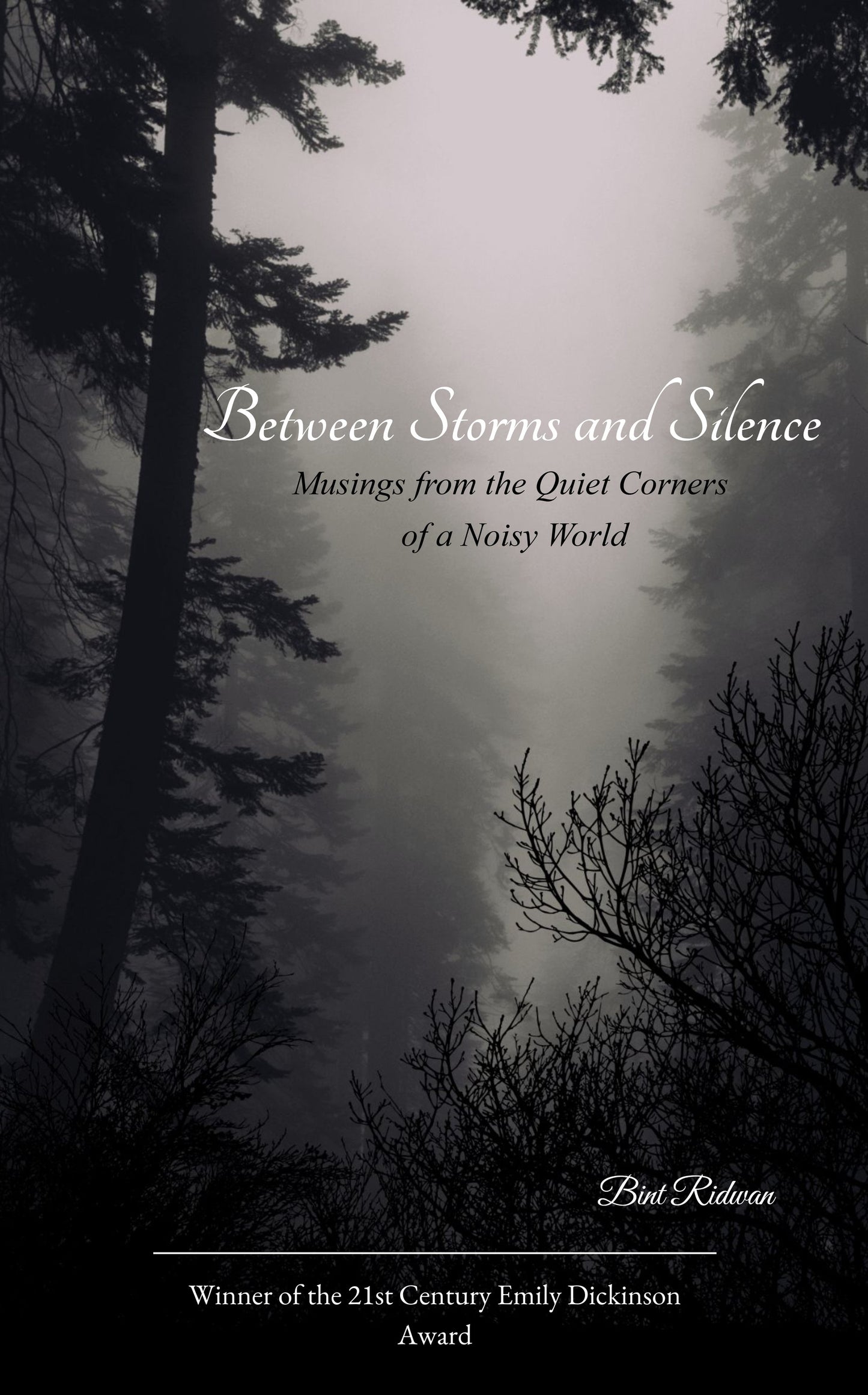 Between Storms and Silence