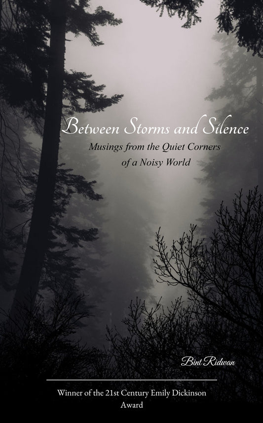 Between Storms and Silence