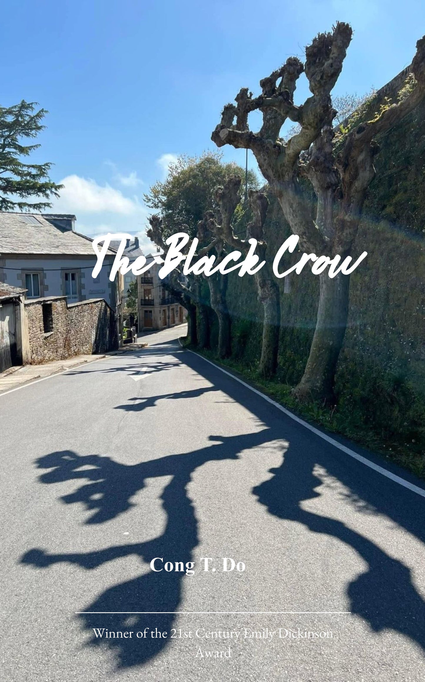 The Black Crow