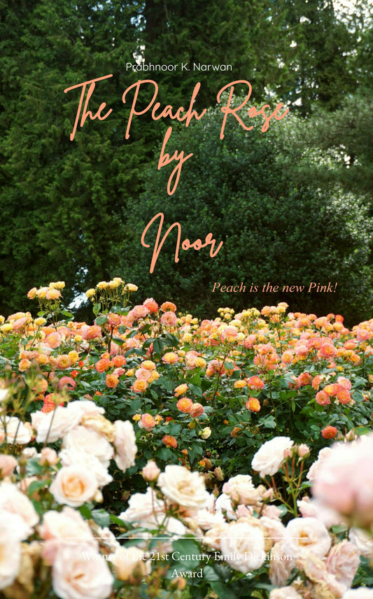 The Peach Rose by Noor