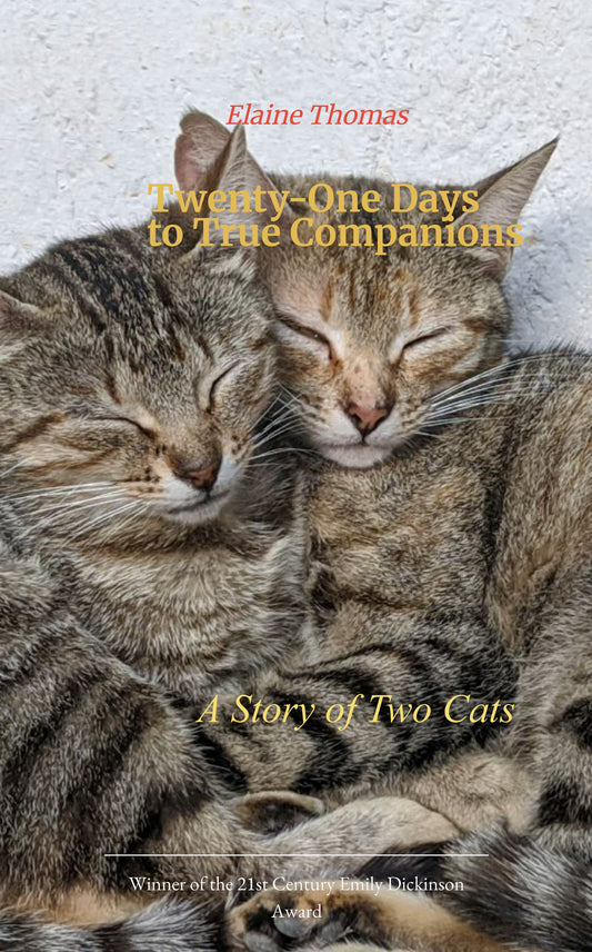 Twenty-One Days to True Companions