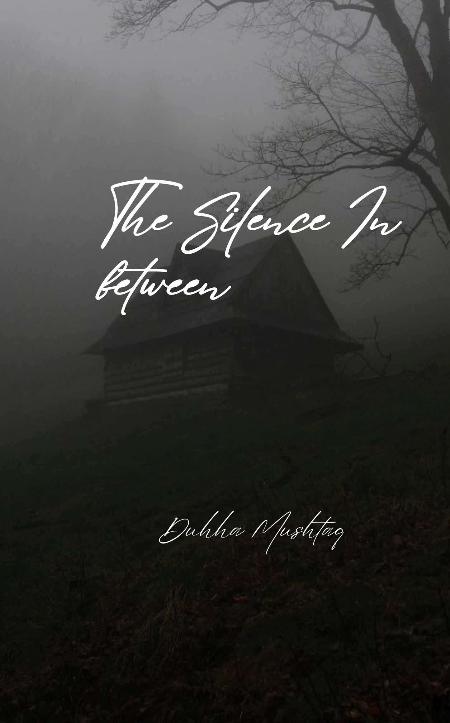 The Silence In Between