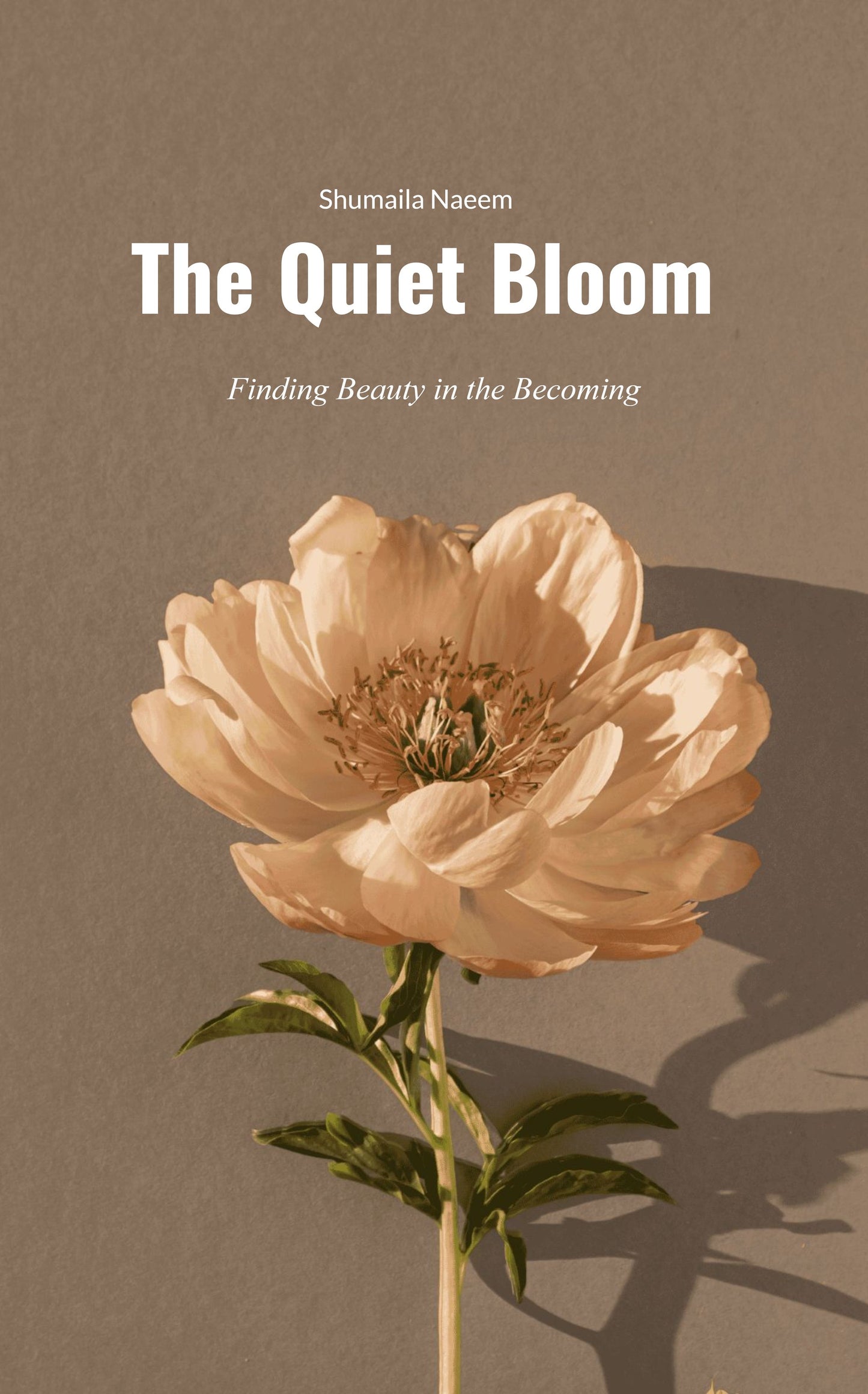The Quiet Bloom