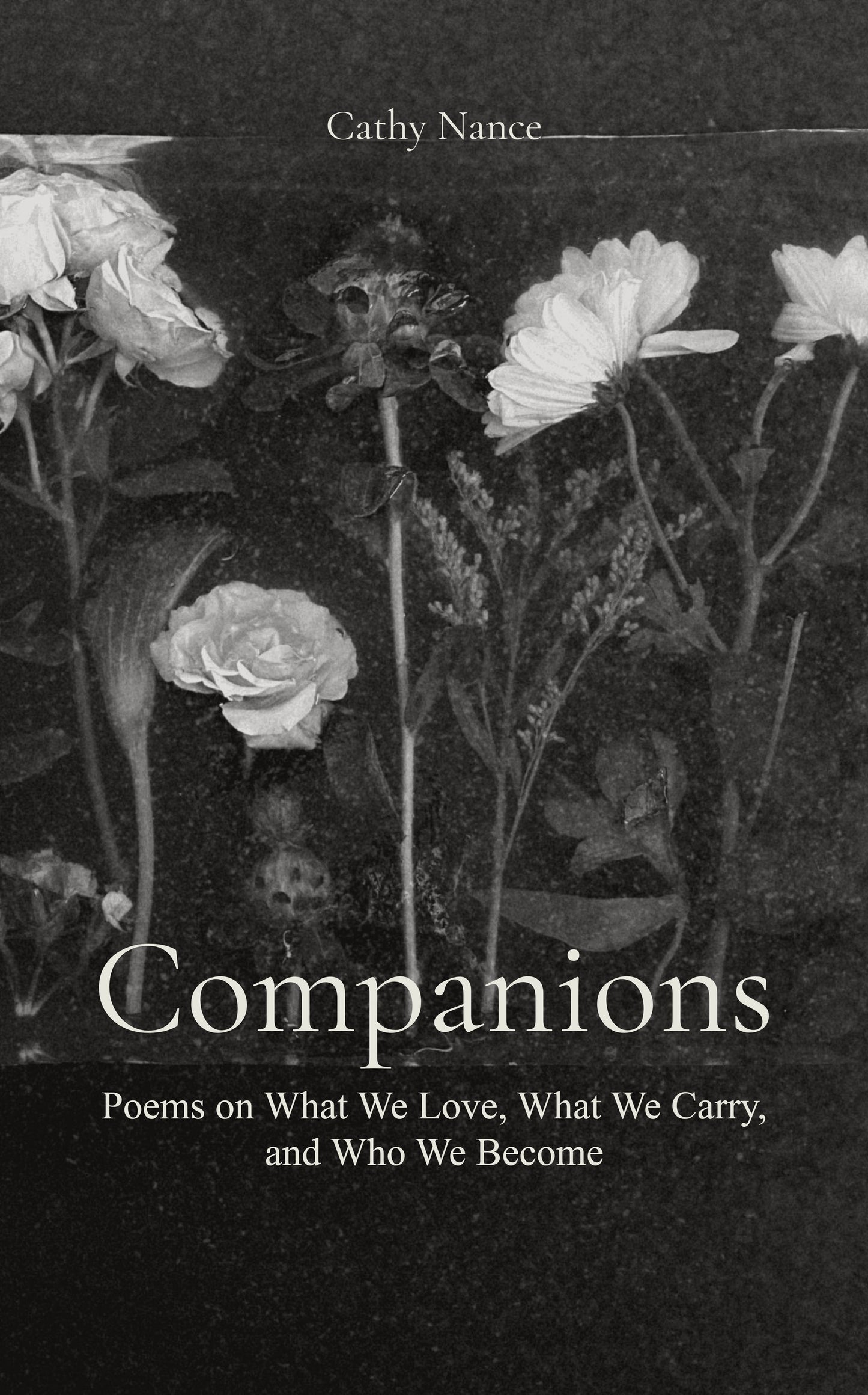 Companions