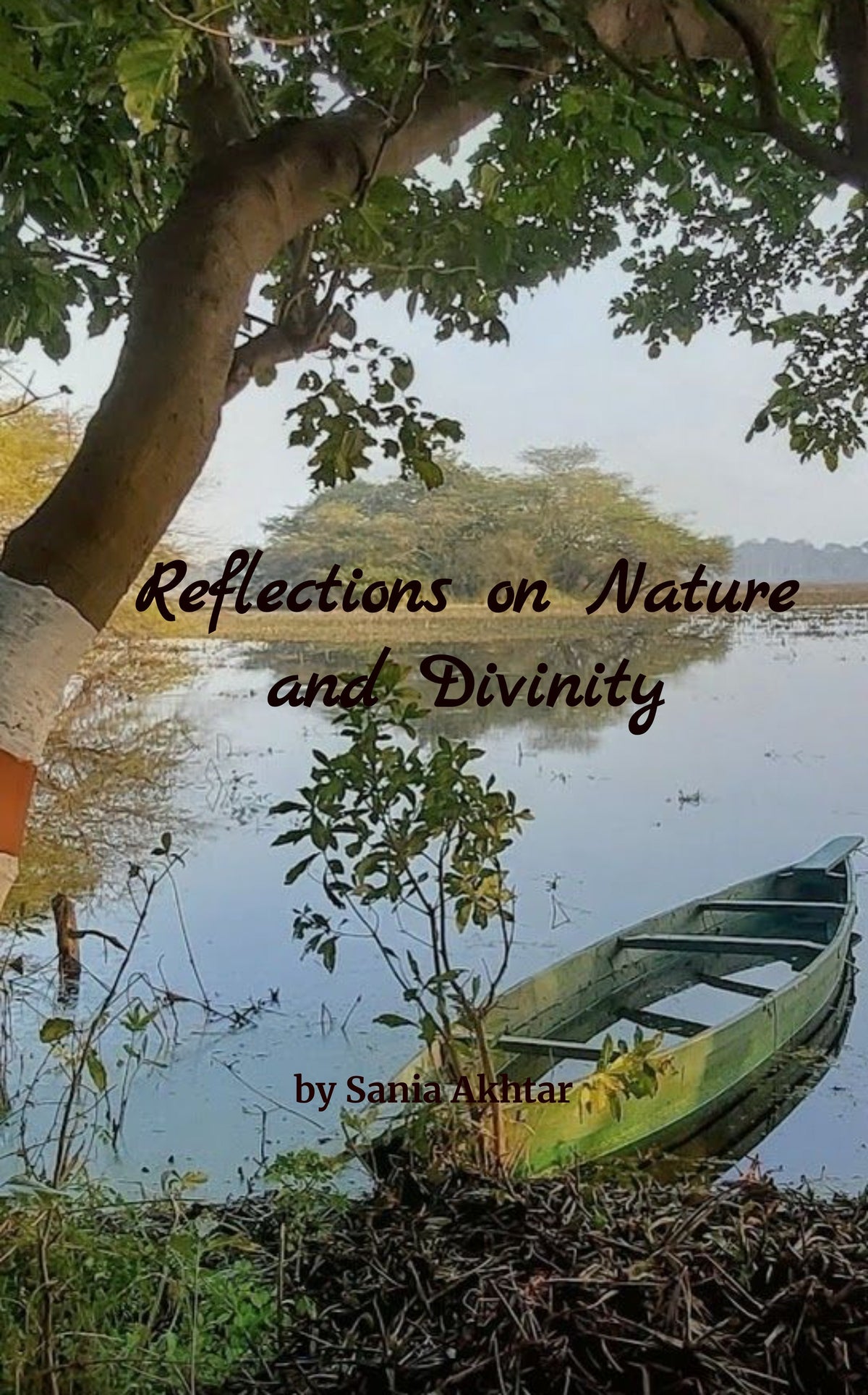 Reflections on Nature and Divinity