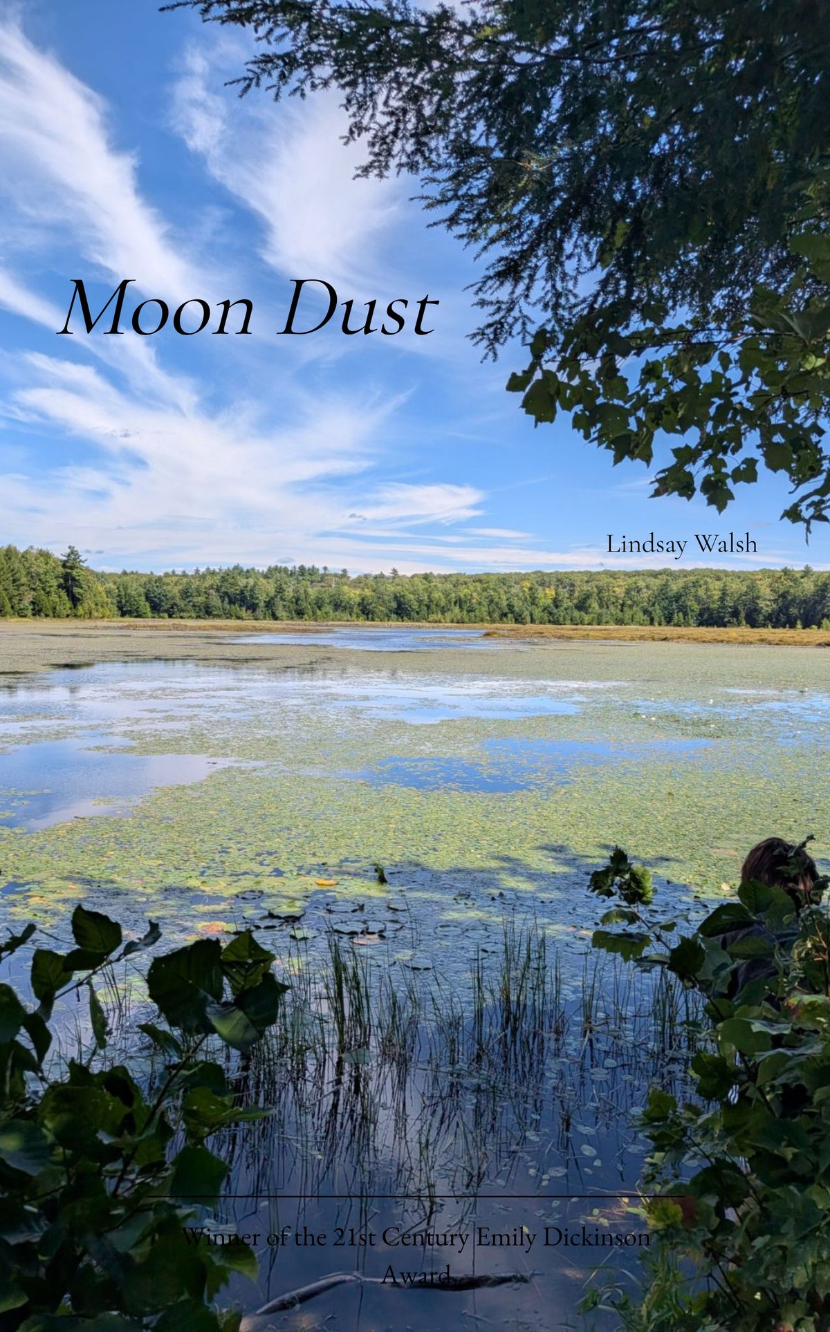 Moon Dust
