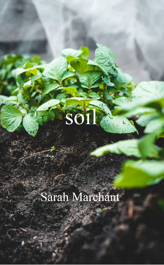 soil