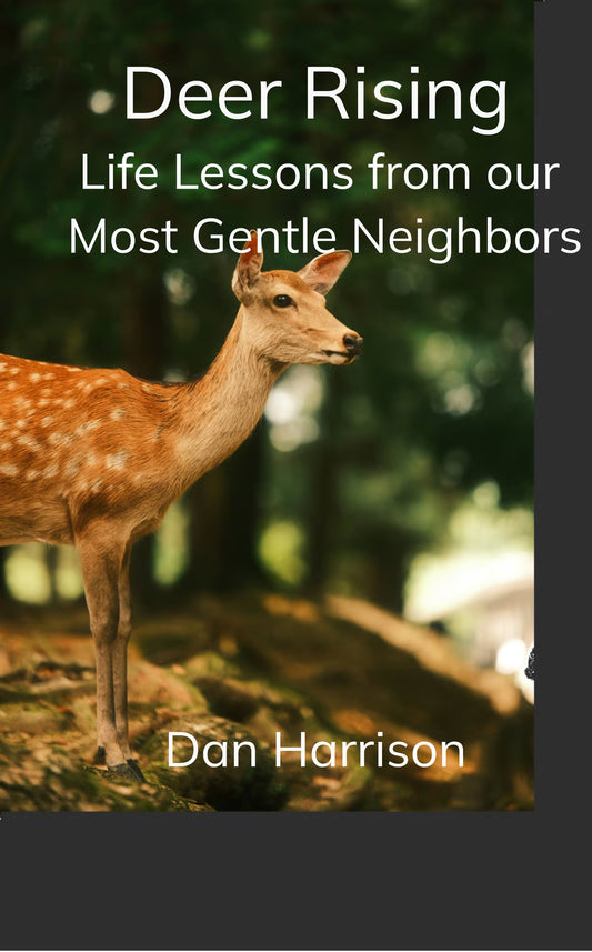 Deer Rising