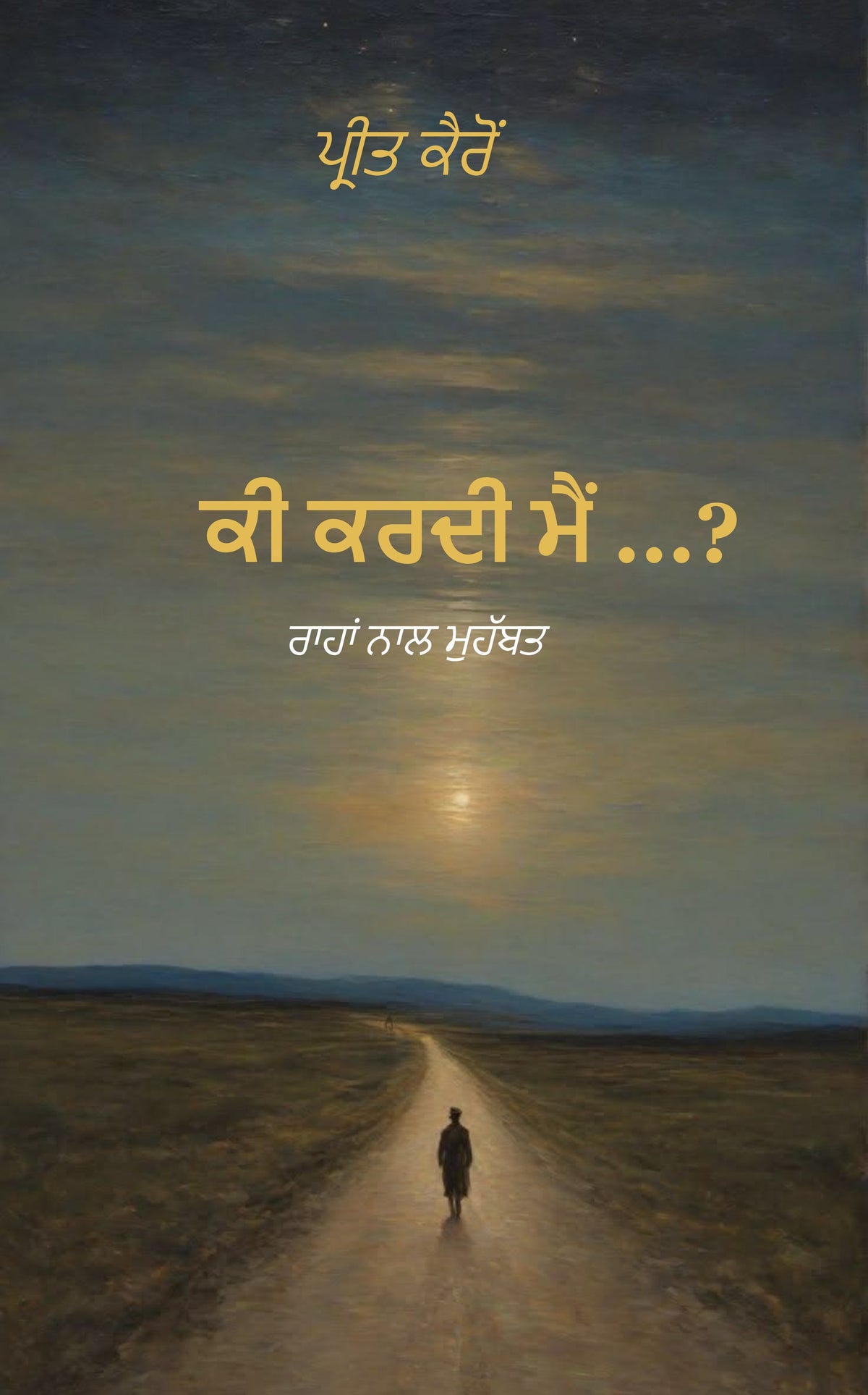 ਕੀ ਕਰਦੀ ਮੈਂ ...?