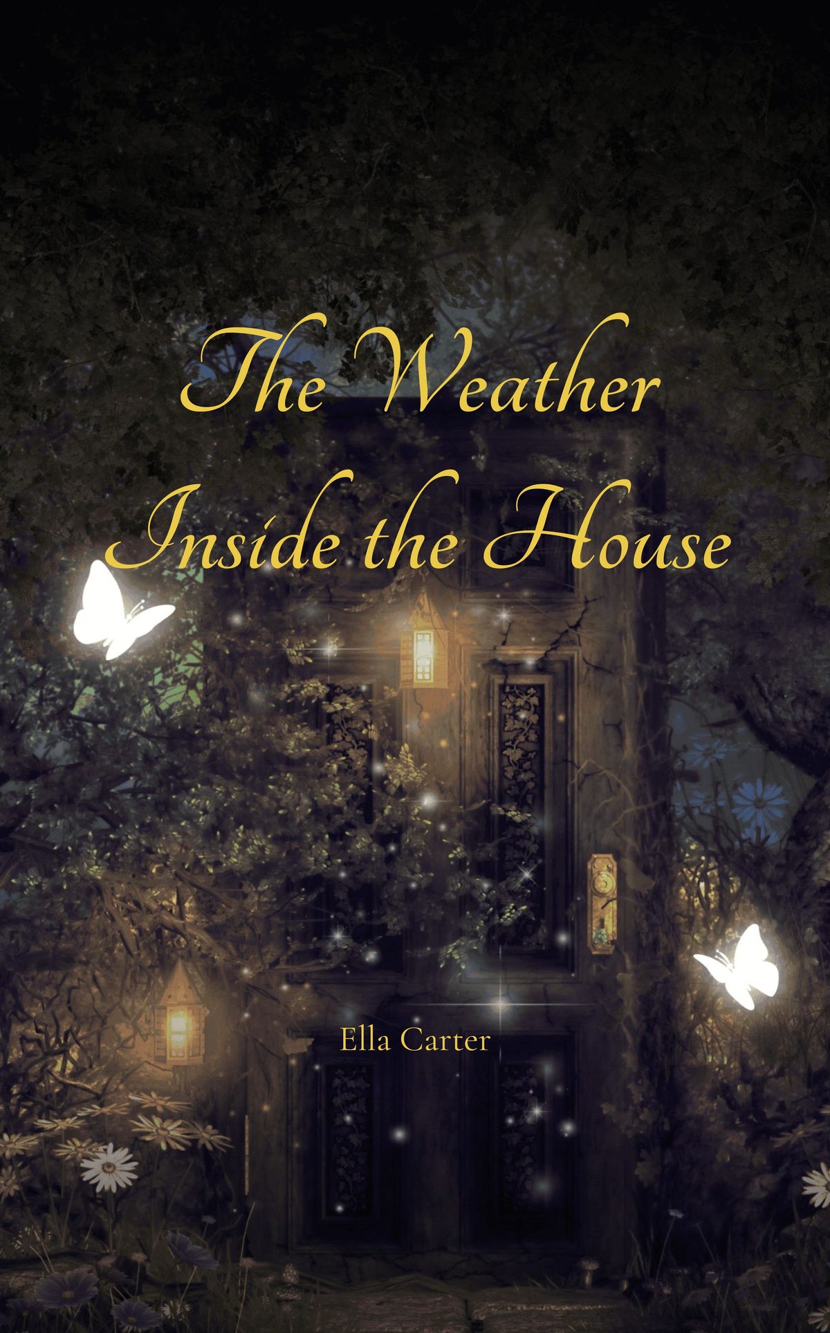 The Weather Inside the House