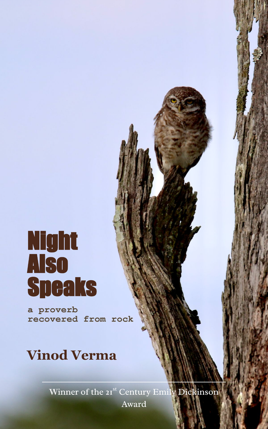 Night Also Speaks